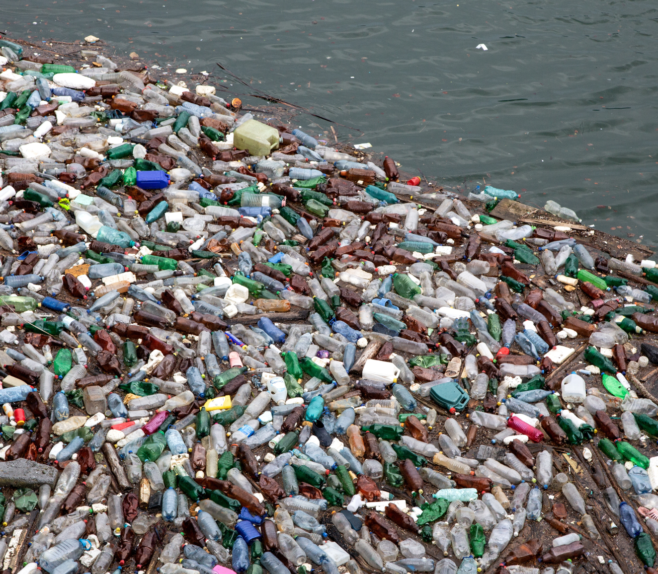 Garbage patch in the ocean