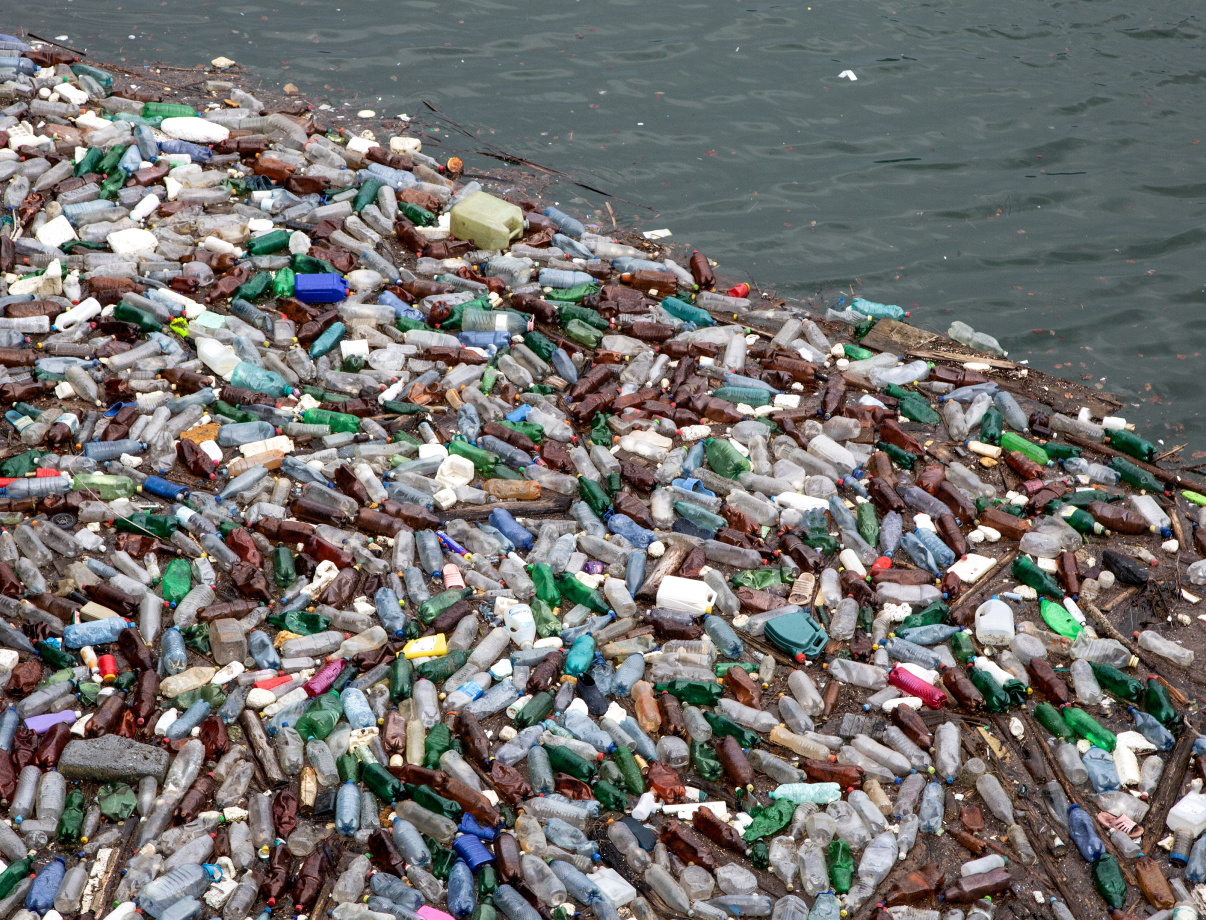 Garbage patch in the ocean