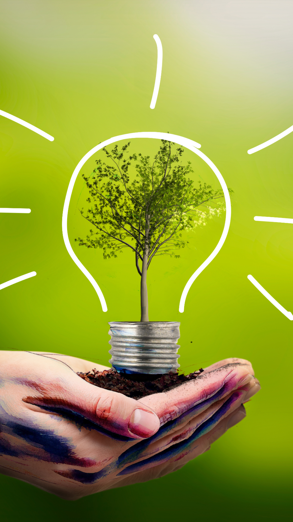 Hand holding a small tree with a light bulb around it